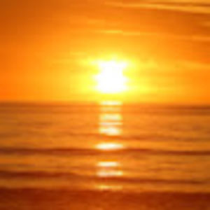 Meet your Posher, Teri